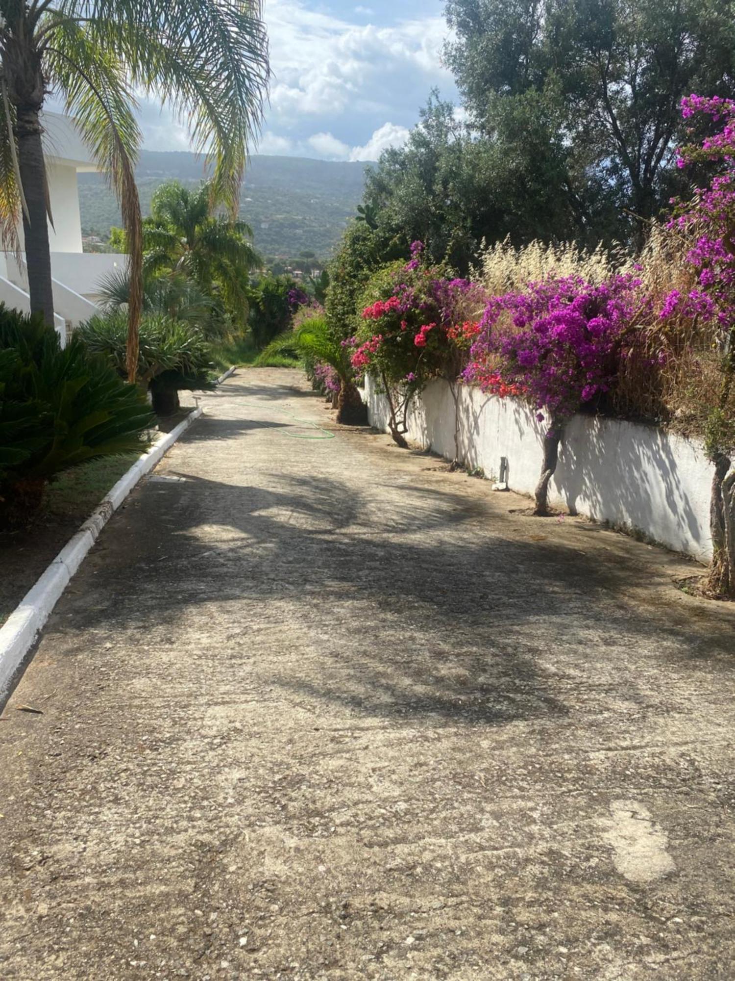 Il Giardino Di Capo Vaticano B&B And Apartments Luaran gambar